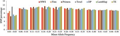 Genetic Connectedness Between Norwegian White Sheep and New Zealand Composite Sheep Populations With Similar Development History